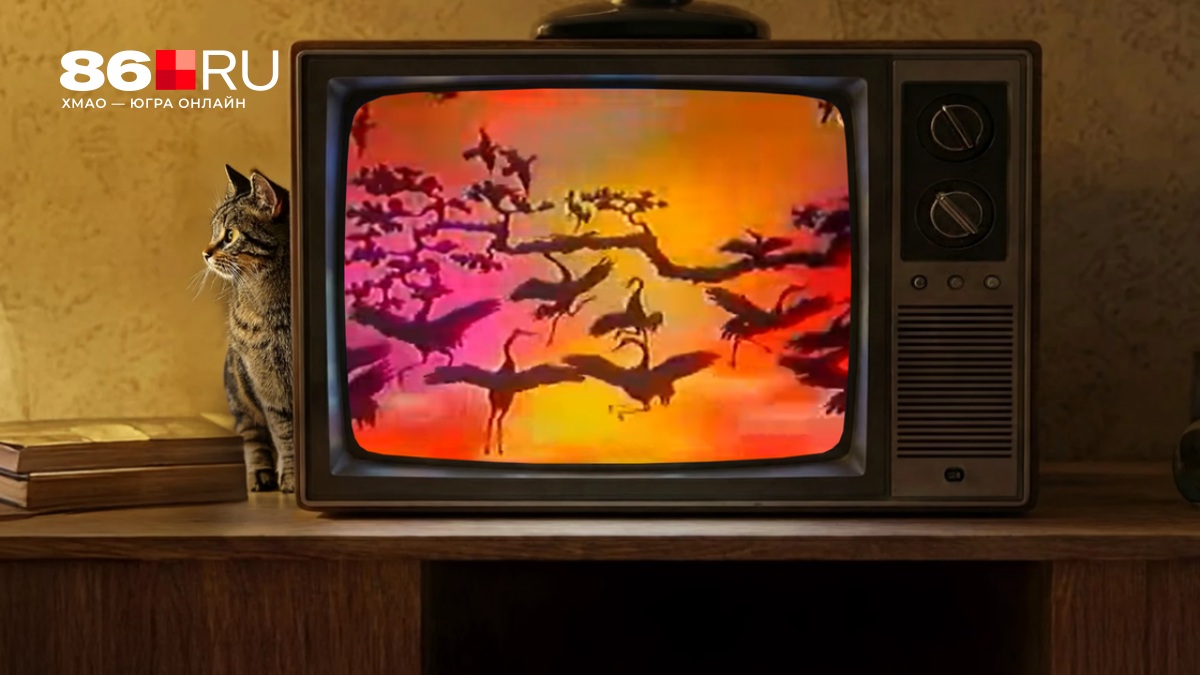 «Лежал под капельницей почти месяц»: как съемки «В мире животных» едва не стоили Николаю Дроздову жизни