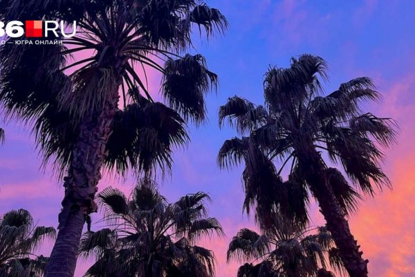 Отели Турции раздают скидки, но долететь станет дороже: рынок туризма ждет перестройка