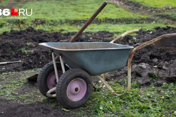 Какие болезни поджидают садоводов: врач предупредил дачников перед началом сезона. Новости 19 марта