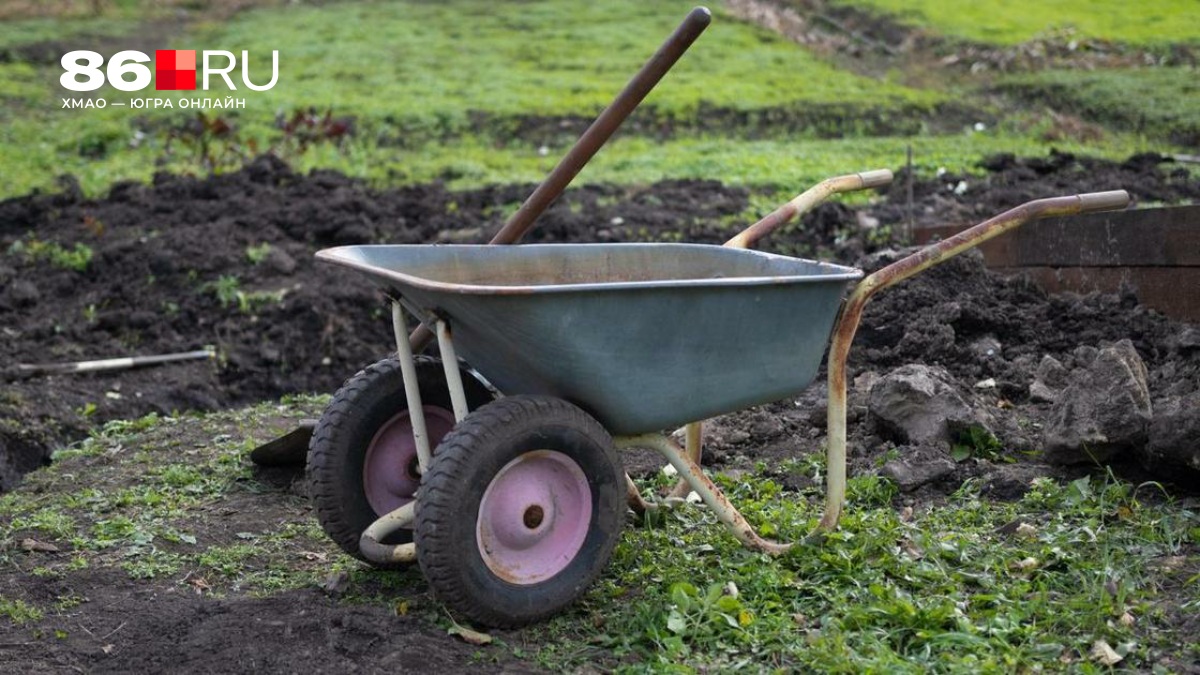 Какие болезни поджидают садоводов: врач предупредил дачников перед началом сезона. Новости 19 марта