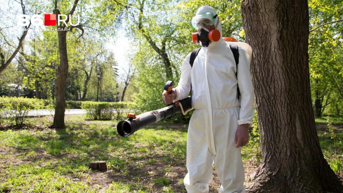 Заразиться энцефалитом можно не только от укуса клеща: четыре шага, которые нужно знать, чтобы спасти себе жизнь