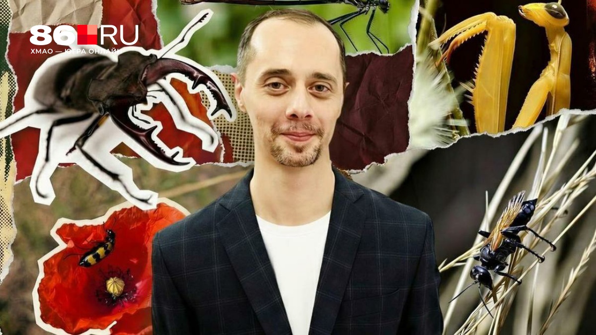 «Большие портреты маленьких жучков». Соцработник фотографирует насекомых — только посмотрите на степную дыбку и богомола