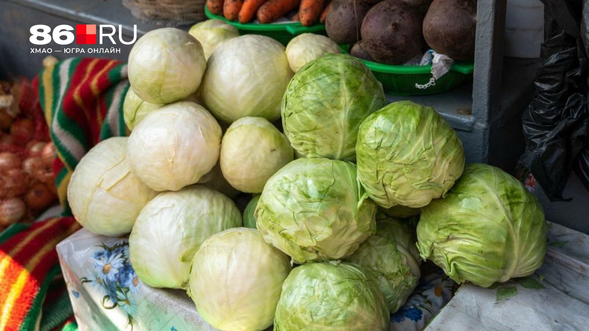 Помогает организму «латать» слизистую желудка и кишечника. Эксперт рассказала о пользе дешевого овоща