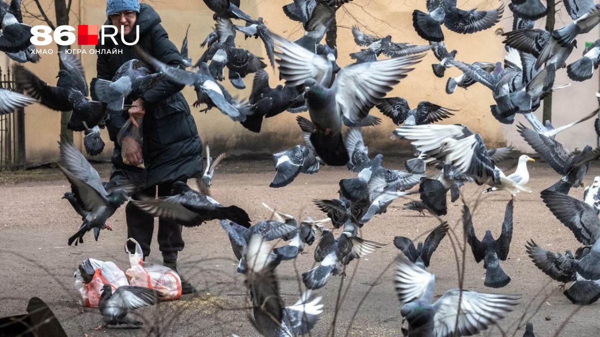 Что нельзя делать у своего дома, чтобы не нарваться на штраф: два неочевидных действия