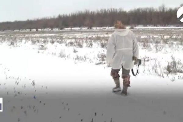 Астраханские охотники до 20 марта должны подать сведения о добытых животных