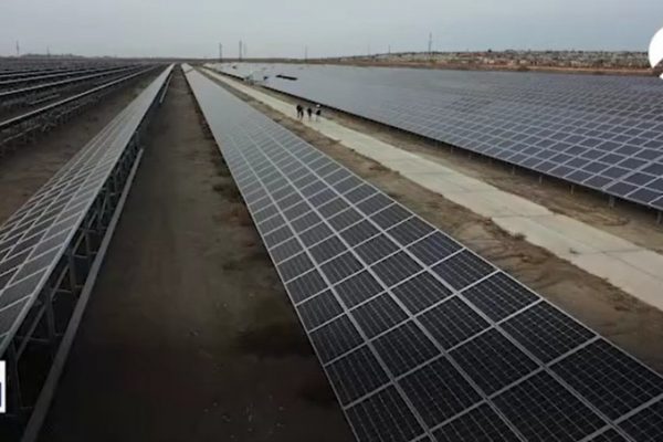 Астраханская область входит в тройку лидеров по развитию «зелёной» энергетики в стране