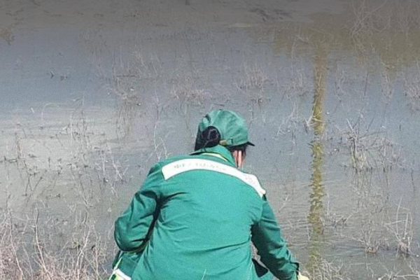 В Астрахани возле автомойки нашли загрязнение почвы на миллионы рублей