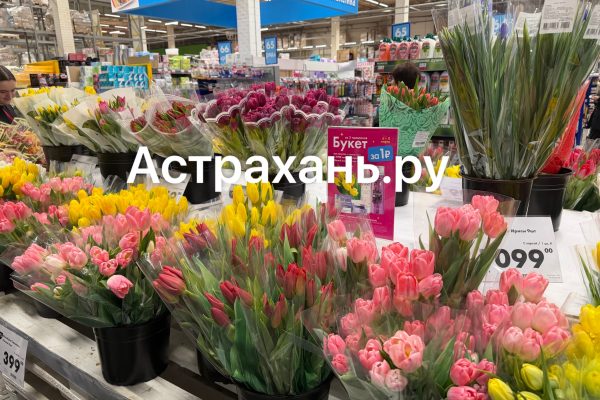 Эксперты рассказали, как выбрать тюльпаны