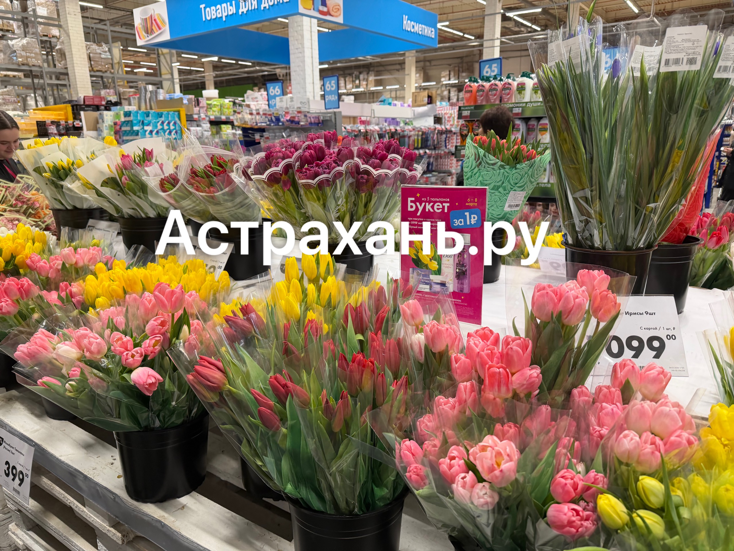 Эксперты рассказали, как выбрать тюльпаны