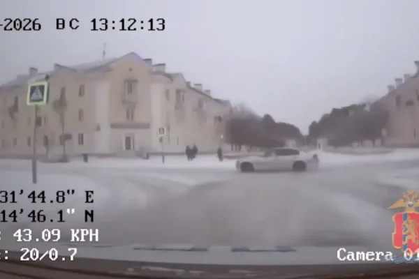 Пьяный водитель на BMW протаранил патрульную машину и пытался убежать в лес в Железногорске