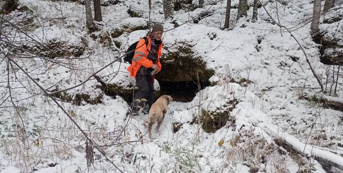 Бастрыкин затребовал доклад о поисках пропавших в Красноярском крае: семьи Усольцевых и мужчины на «Столбах»