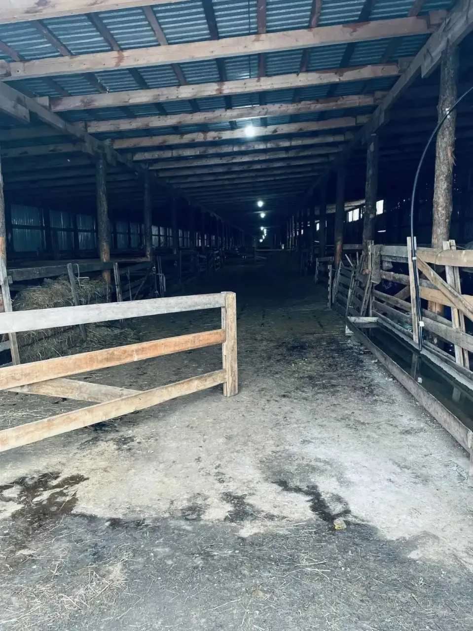 Россельхознадзор выявил ряд ветеринарных нарушений у хакасских фермеров