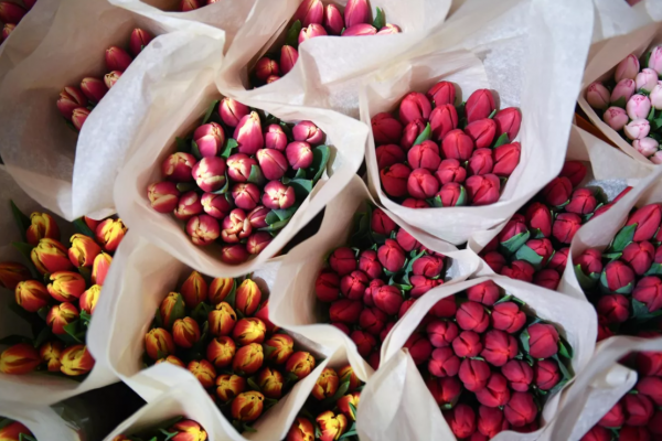 В Сибирь привезли 227 тонн цветов — больше всего роз и тюльпанов