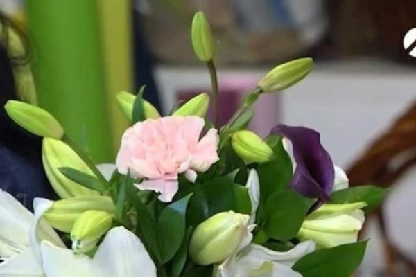 Какая погода будет в Астраханской области 8 марта