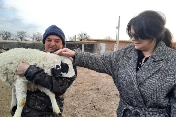В Приволжском районе развивают мясное животноводство