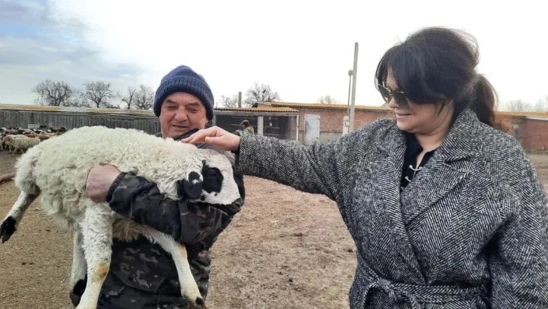 В Приволжском районе развивают мясное животноводство