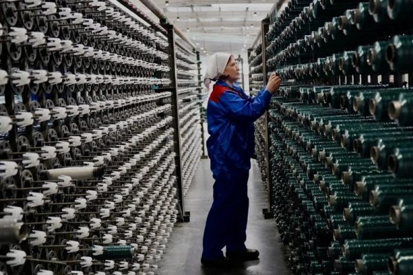 В Астраханской области начали выпускать сетки для защиты урожая