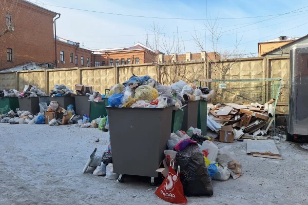 «Это не двор, а кошмар наяву»: мусор и крысы захватывают центр Красноярска