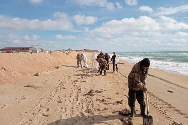 В Витязево восстановили километровый тестовый участок пляжа