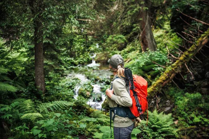 В горах Сочи заблудилась приезжая туристка