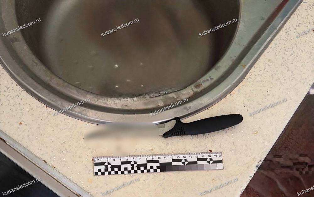 Анапчанку обвиняют в убийстве пожилой матери