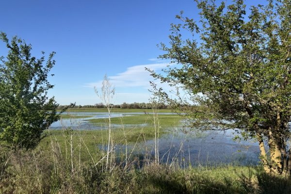 Вода идет: астраханцам утвердили новые сбросы с Волжского каскада - PRO Астрахань