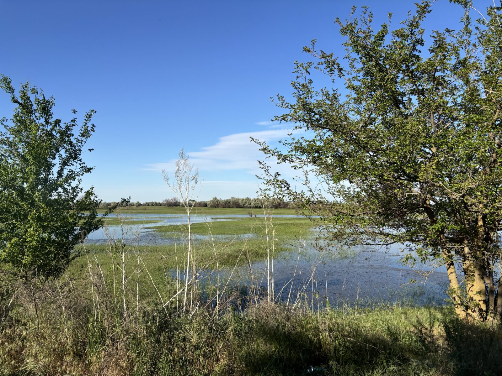 Вода идет: астраханцам утвердили новые сбросы с Волжского каскада - PRO Астрахань