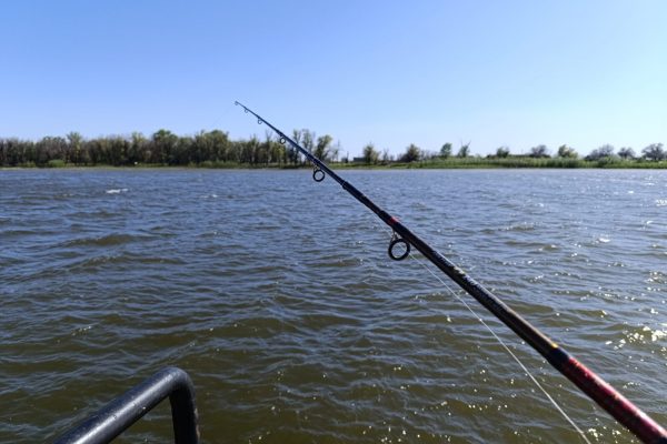 29-й фестиваль «Вобла» в Астрахани: где, когда и как - PRO Астрахань