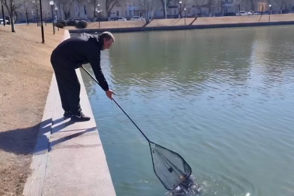 Астраханские коммунальщики приступили к уборке «зимнего наследства» - PRO Астрахань