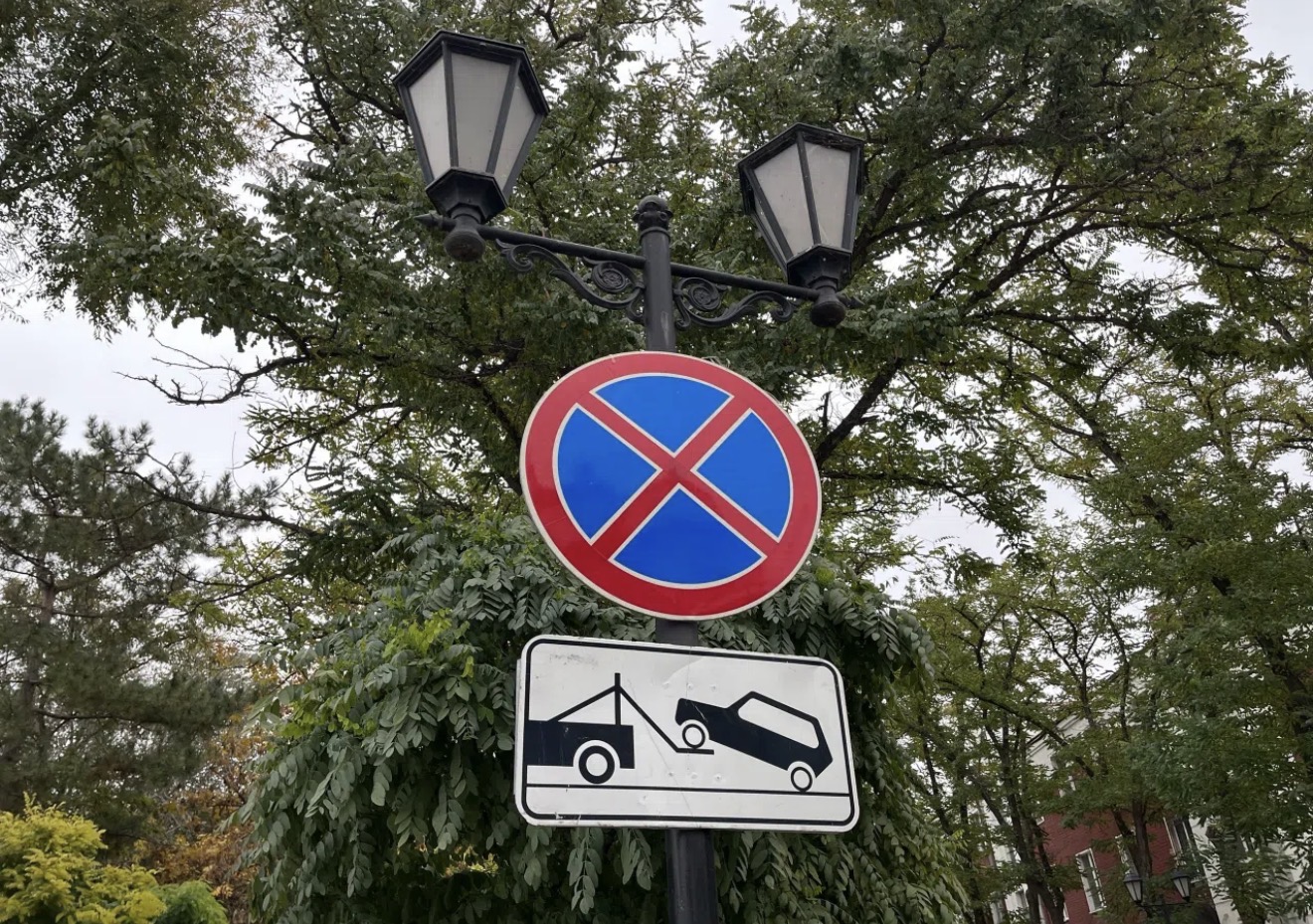 На двух улицах Астрахани запретили парковку машин