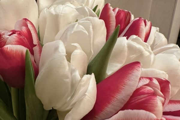 Астраханцы рассказали, сколько денег они готовы потратить на подарки на 8 Марта