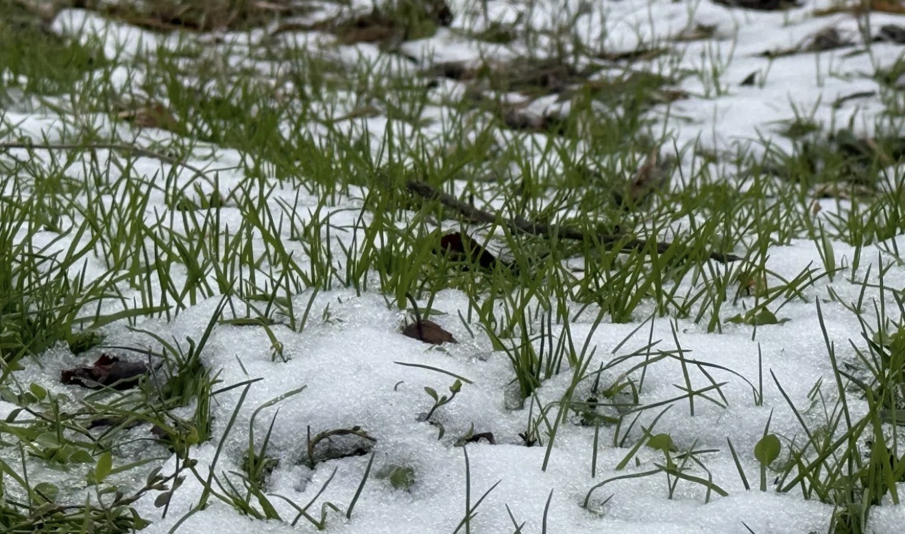 8 марта в Астраханской области возможен снег