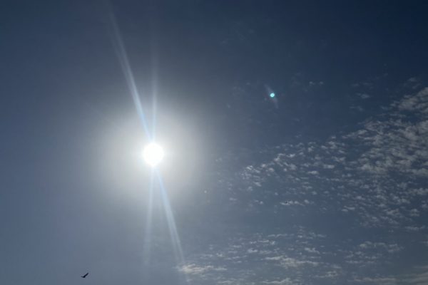 12 марта в Астраханской области будет солнечно