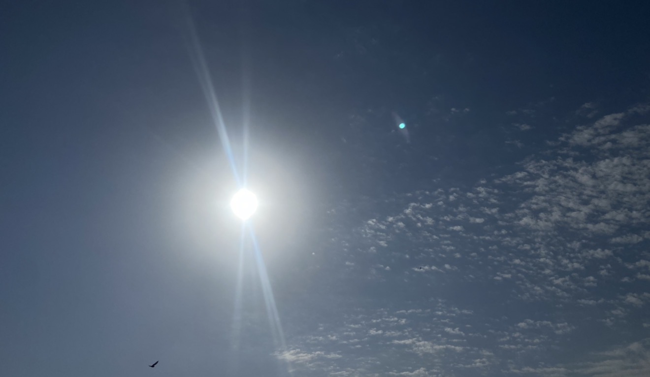 12 марта в Астраханской области будет солнечно