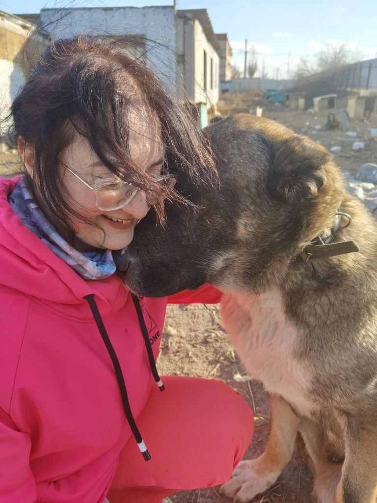 Астраханский щенок после серьезной аварии нашел новую хозяйку из Санкт-Петербурга