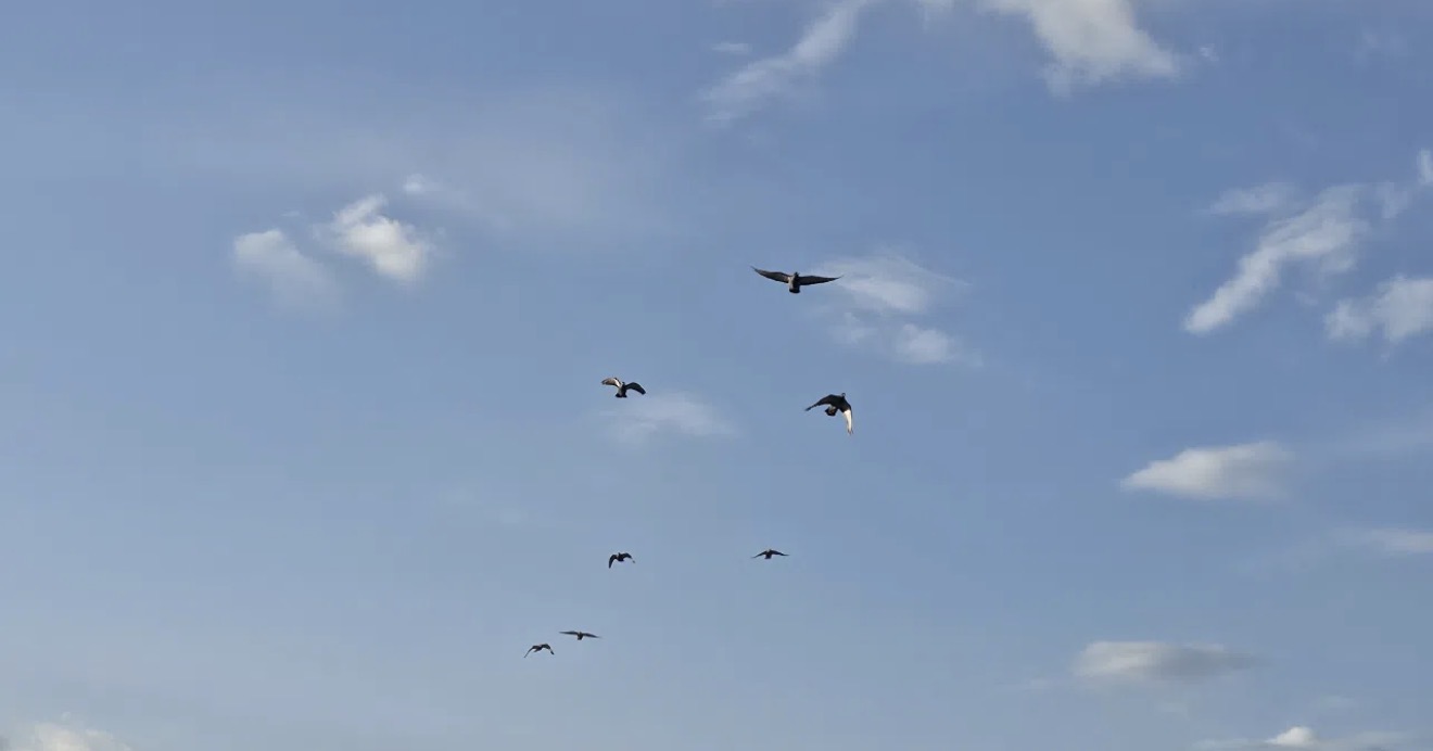 13 марта солнце порадует астраханцев приятной погодой