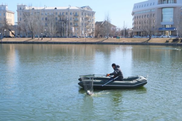 В Астрахани из Лебединого озера доставали бутылки и пакеты