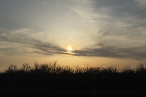Сегодня в Астраханской области сохранится солнечная и по-весеннему теплая погода