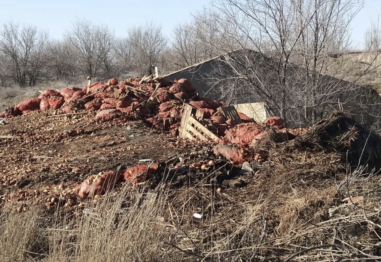 На севере Астраханской области образовалась огромная свалка из лука