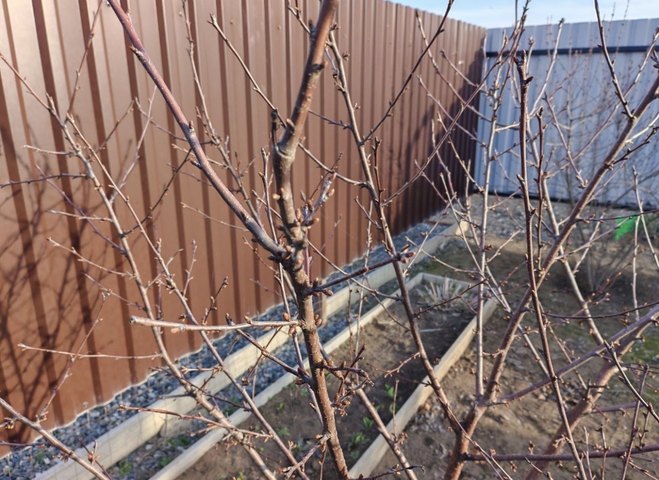 Астраханцам рассказали, что нужно сделать во дворе частного дома ранней весной