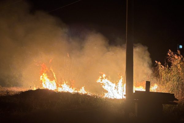 В Астраханской области объявили особый противопожарный режим - PRO Астрахань