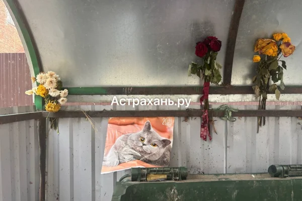 Астраханцы делают краше мусорные площадки рядом с домом