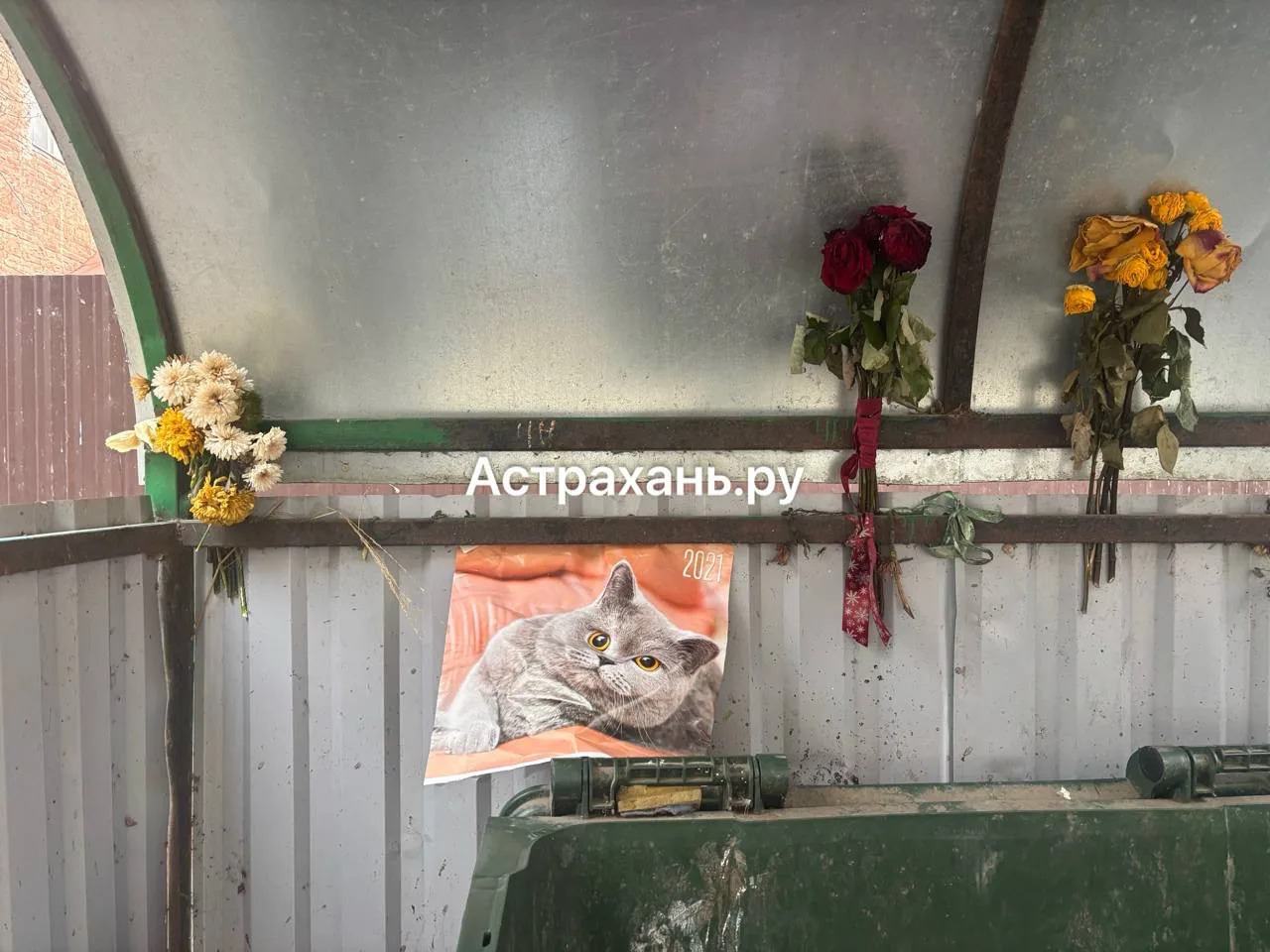 Астраханцы делают краше мусорные площадки рядом с домом