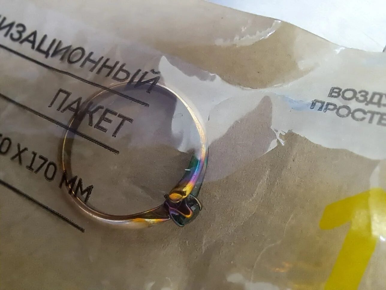 Астраханские ветеринары спасли кота Масика, проглотившего ювелирное кольцо - PRO Астрахань