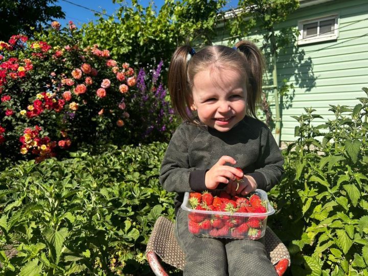 Как обрезать клубнику весной и зачем это обязательно делать