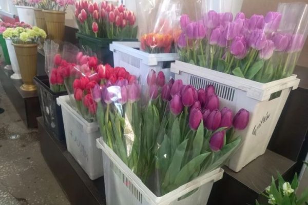 Какие цветы и почем предлагают в преддверии 8 Марта