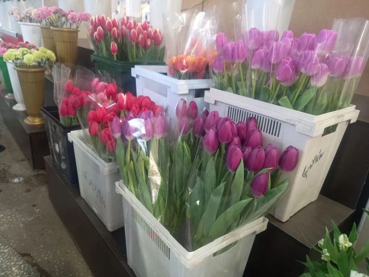 Какие цветы и почем предлагают в преддверии 8 Марта