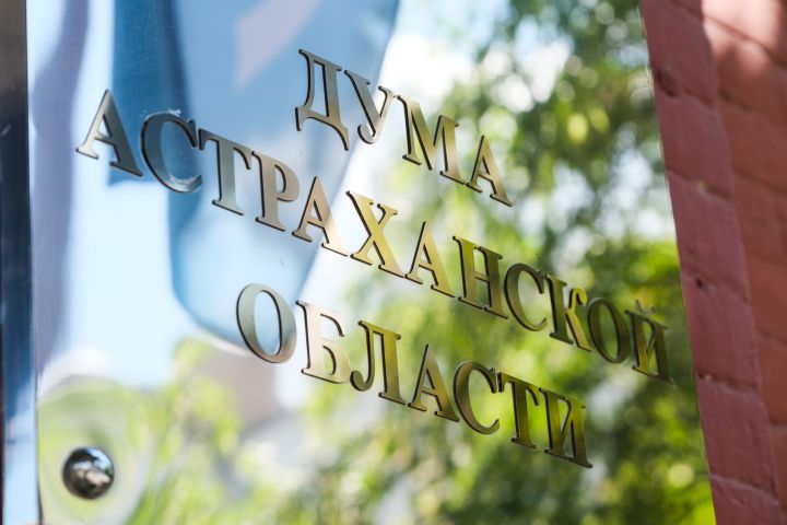 Астраханские депутаты поддержали законопроект о модернизации механизма поддержки молодежных и детских объединений