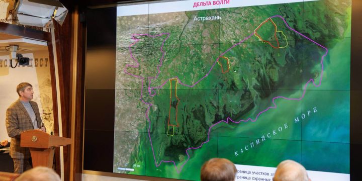 «Уходящий» Каспий губит редких птиц и многочисленных рыб