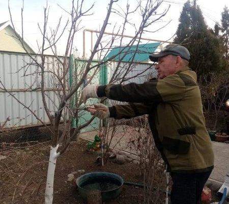 Садоводам и огородникам пора сделать важное дело на своих участках